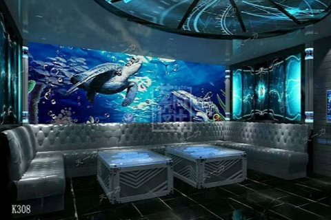 周口单刷小时场KTV，欢歌笑语共度欢乐时光-商水县ktv预定